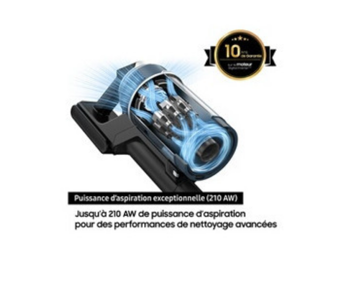 Aspirateur balai SAMSUNG Jet 95 Pet 2 Batteries VS20C95D2TK